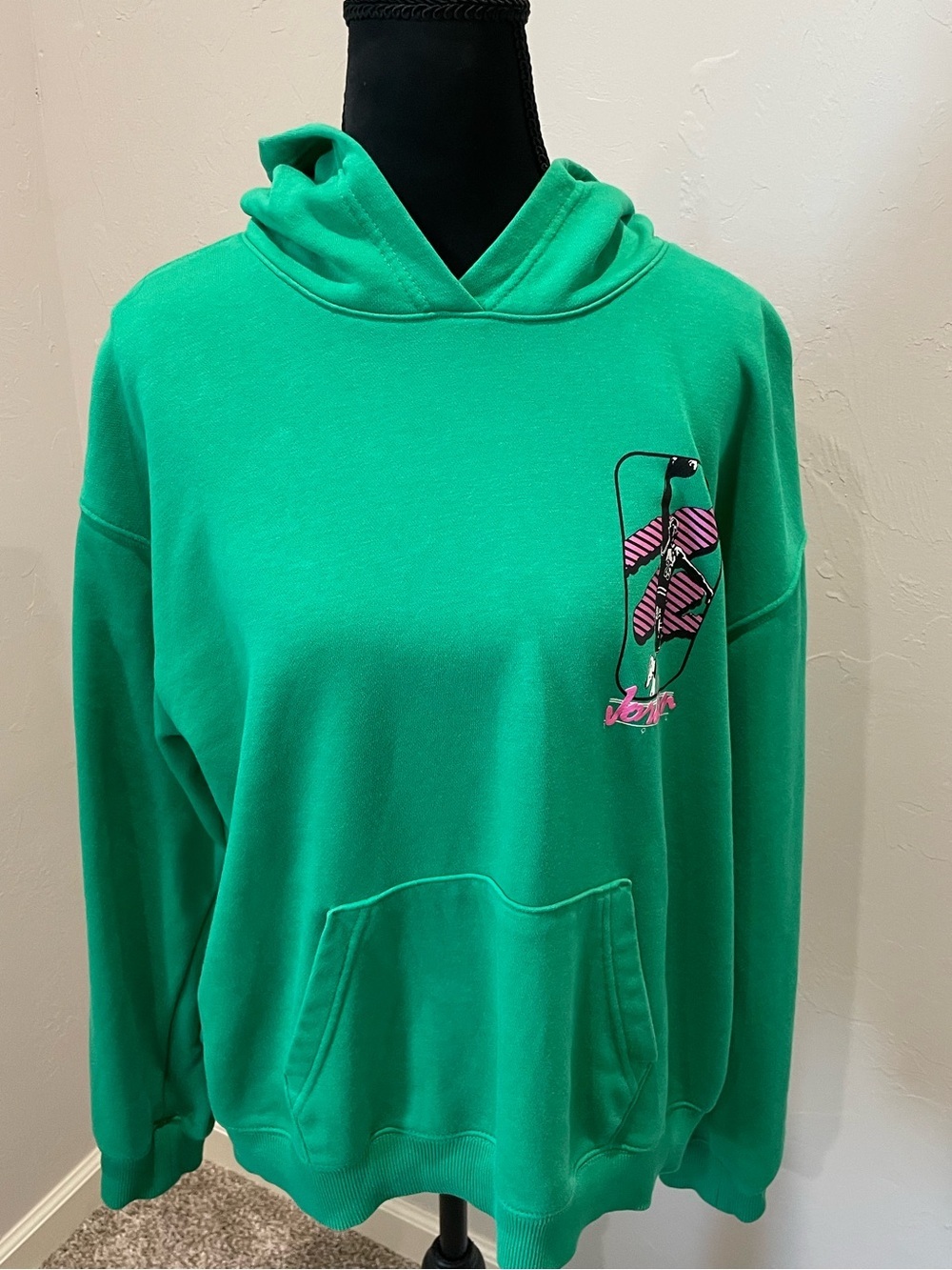 Air Jordan Hoodie Sweatshirt Green with Pink Script Medium - Picture 3 of 7